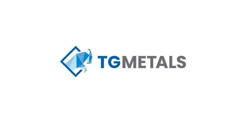 How to Investing in the TG Metals Limited’s Shares